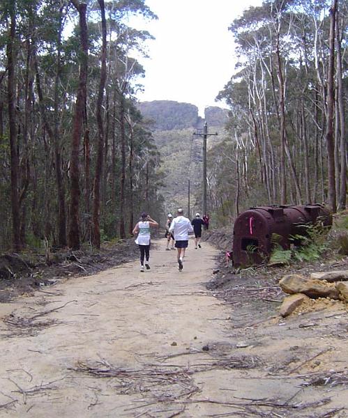 1a bush trail 081.jpg